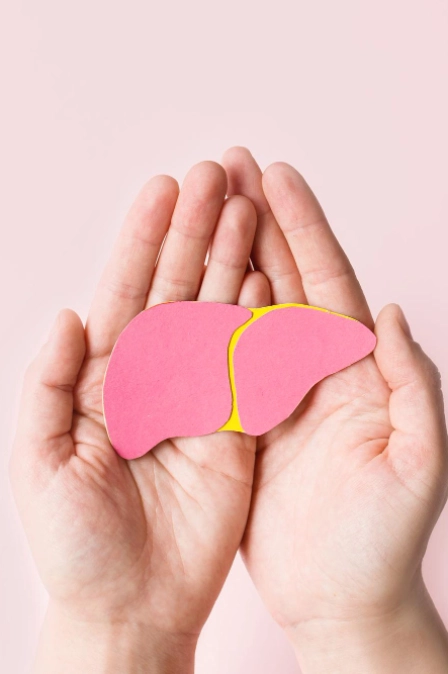 фото печени при гепатите б